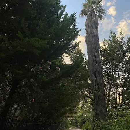 Hidden Gem Private Apartment *