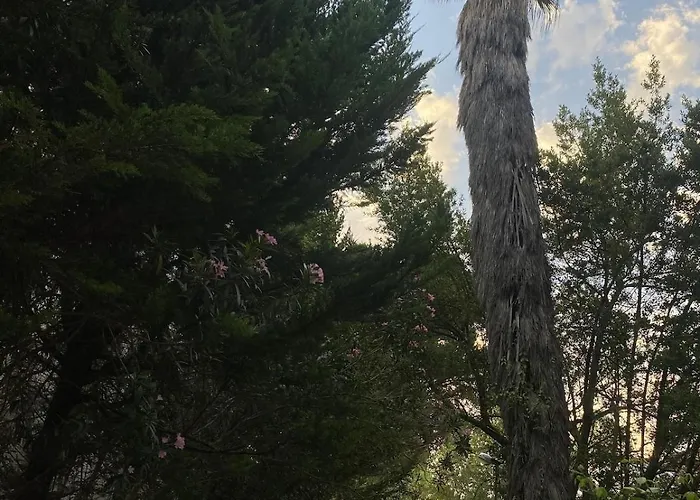 Hidden Gem Private Lägenhet *